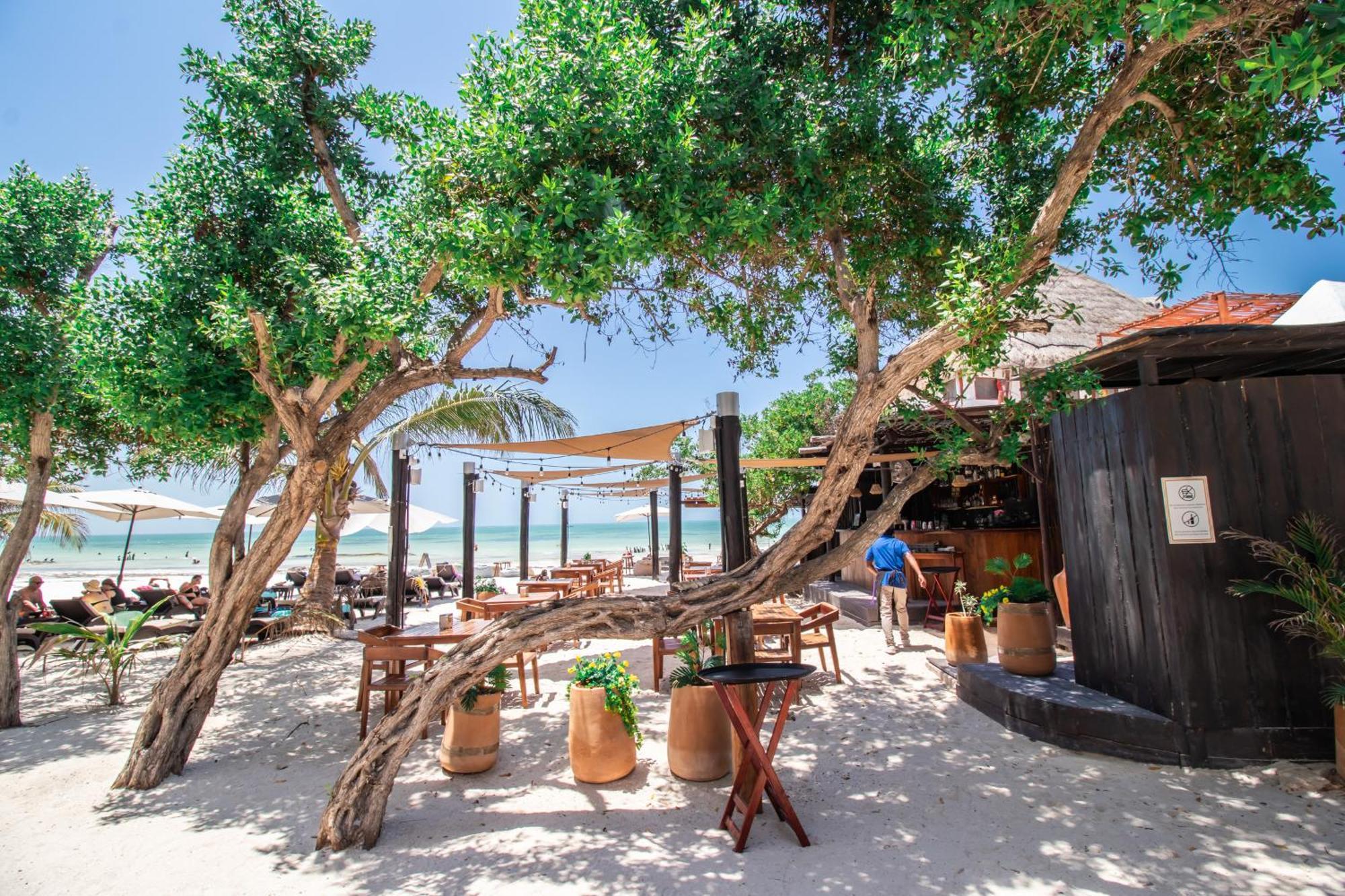 Hau Holbox, Oceanfront Boutique Hotel Esterno foto